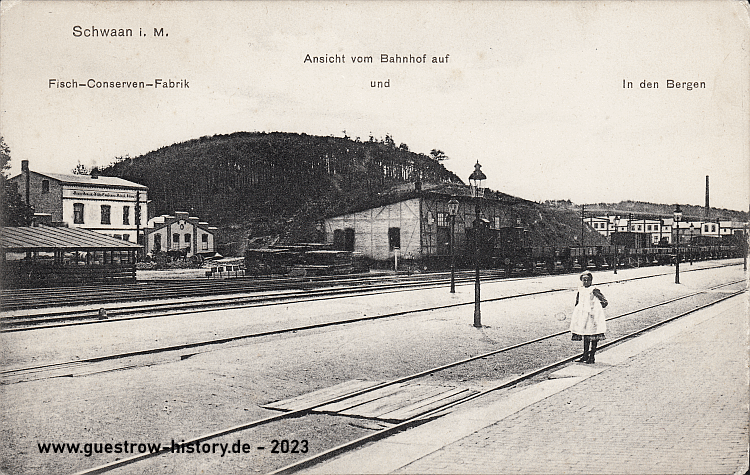 1910 - Schwaan - Fisch-Conserven-Fabrik vom Bahnhof gesehen